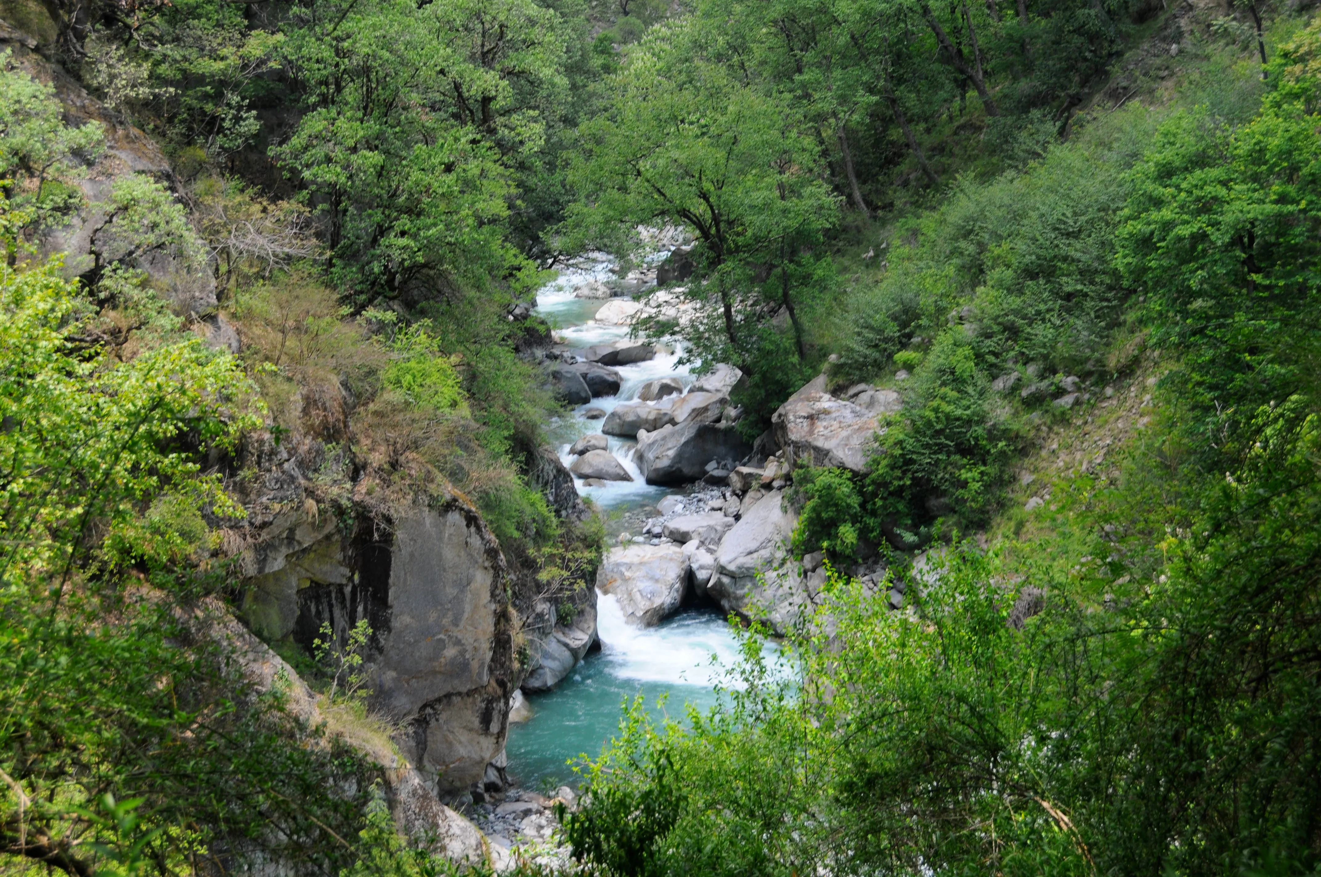 Tirthan Trail