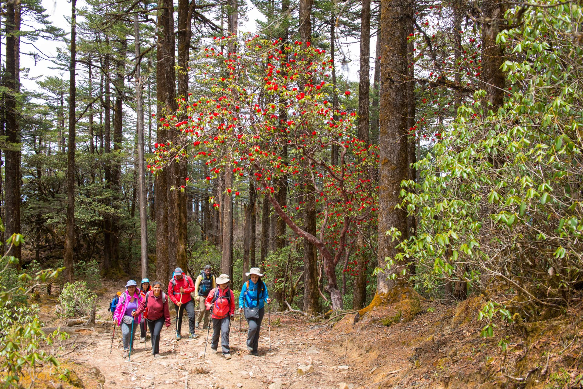 Group Trips in India